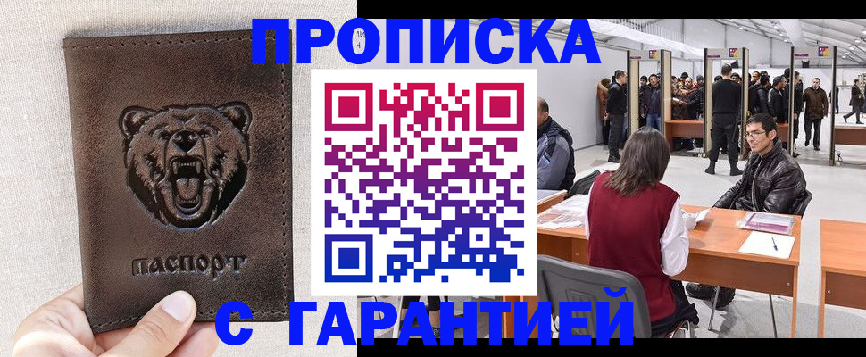 временная регистрация поиск в Коле